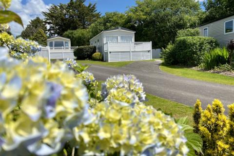 Environmentally friendly holiday park with an abundance of wildlife and luxury caravans for sale