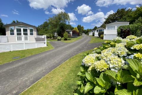 Image of static caravans for sale in Cornwall at Silverbow Country Park