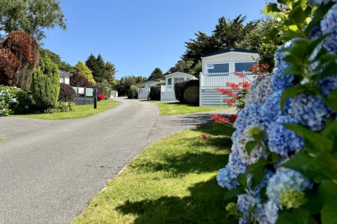 Beautiful holiday homes on a park with flowers and wildlife all around well spaced out caravans