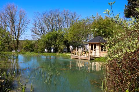 Silverbow country park wildlife pond