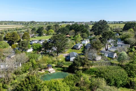 trees and nature at Silverbow
