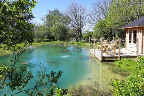 Our Summerhouse Pond 