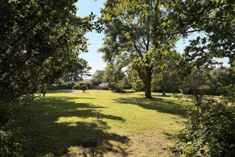 Beautiful Green spaces on Park