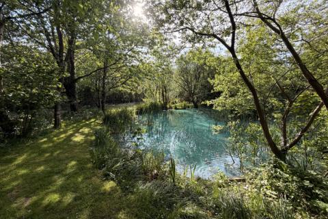 Our Island Pond