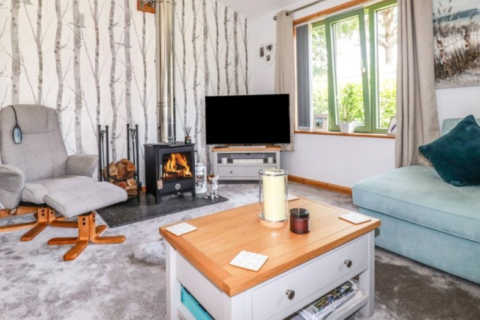 Lodge lounge with log burner