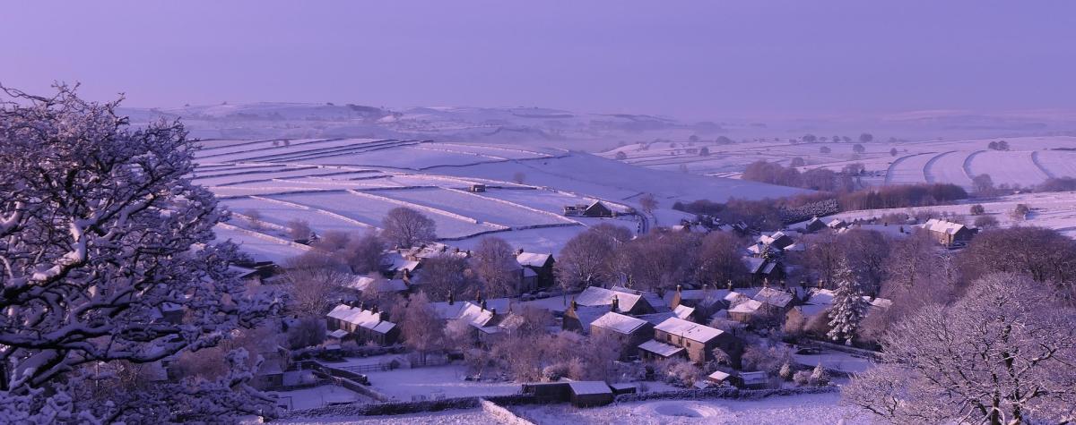 winter in Cornwall near Silverbow Country Park