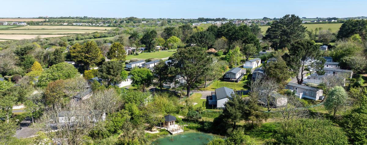 trees and nature at Silverbow