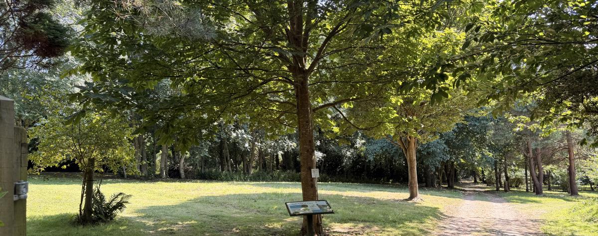 view of our conservation area