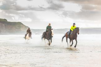 Reen Manor Riding Stablea in Cornwall