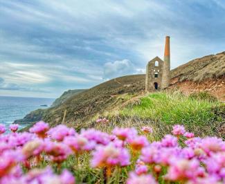 wheal coates