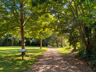 View of the Conservation area