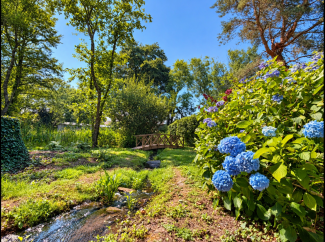 View of the Wildlife ponds 