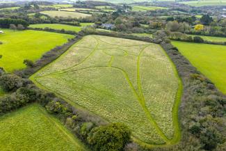 Aerial view of the dog walking field